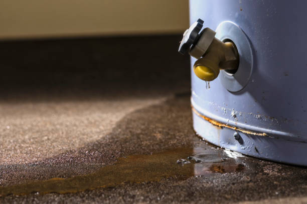 Best Commercial water damage restoration  in Whitewater, CA