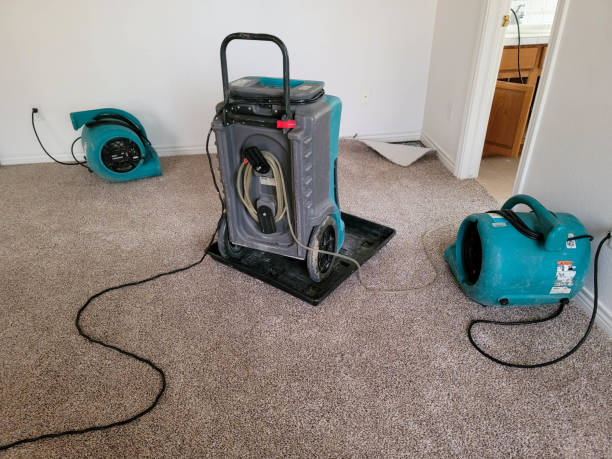 Best Water damage cleanup near me  in Whitewater, CA