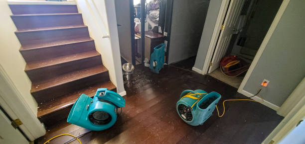 Carpet water damage restoration in Whitewater, CA