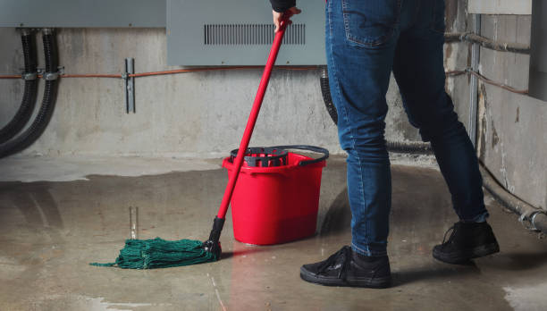 Best Local water damage restoration  in Whitewater, CA