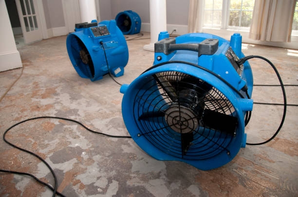 Best Flood damage cleanup  in Whitewater, CA
