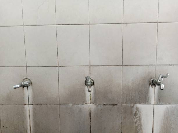 Best Flooded house restoration  in Whitewater, CA