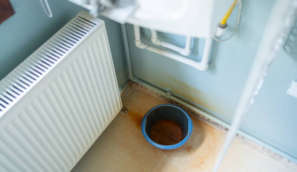 Best Mold removal after water damage  in Whitewater, CA