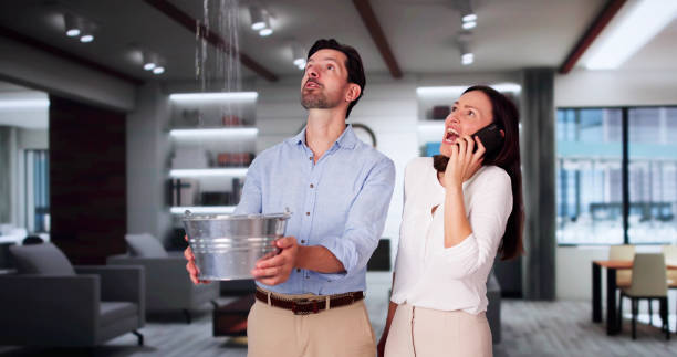 Best Water damage restoration process  in Whitewater, CA